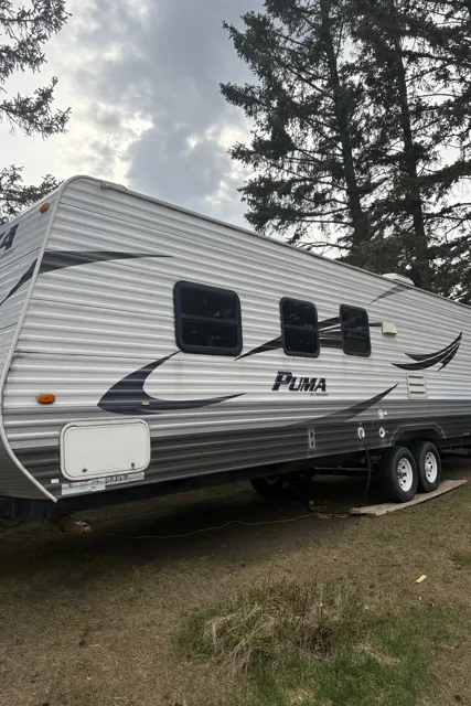 2011 Palomino Puma