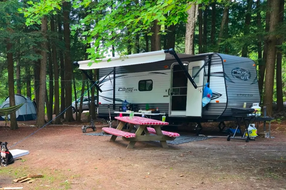 2014 Forest River Forest River Salem Cruise Lite 195BH