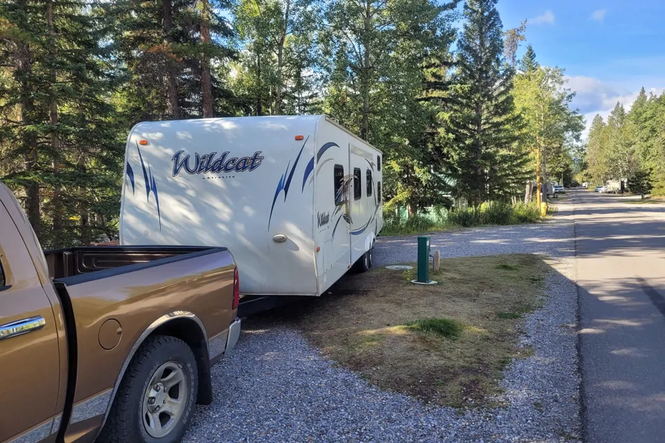2010 Forest River Wildcat