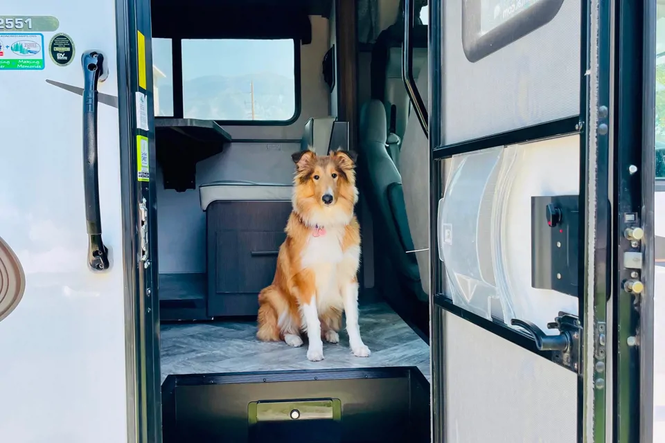Melissa's Hybrid Rockwood Roo 183 in Stansbury-Park, Utah