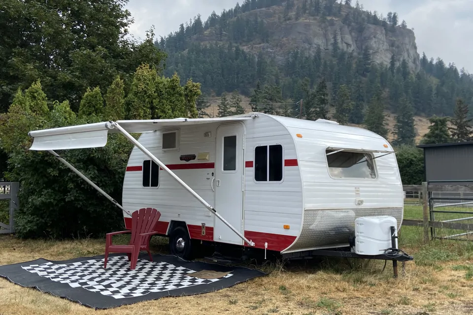 2015 Forest River 178SE Retro
