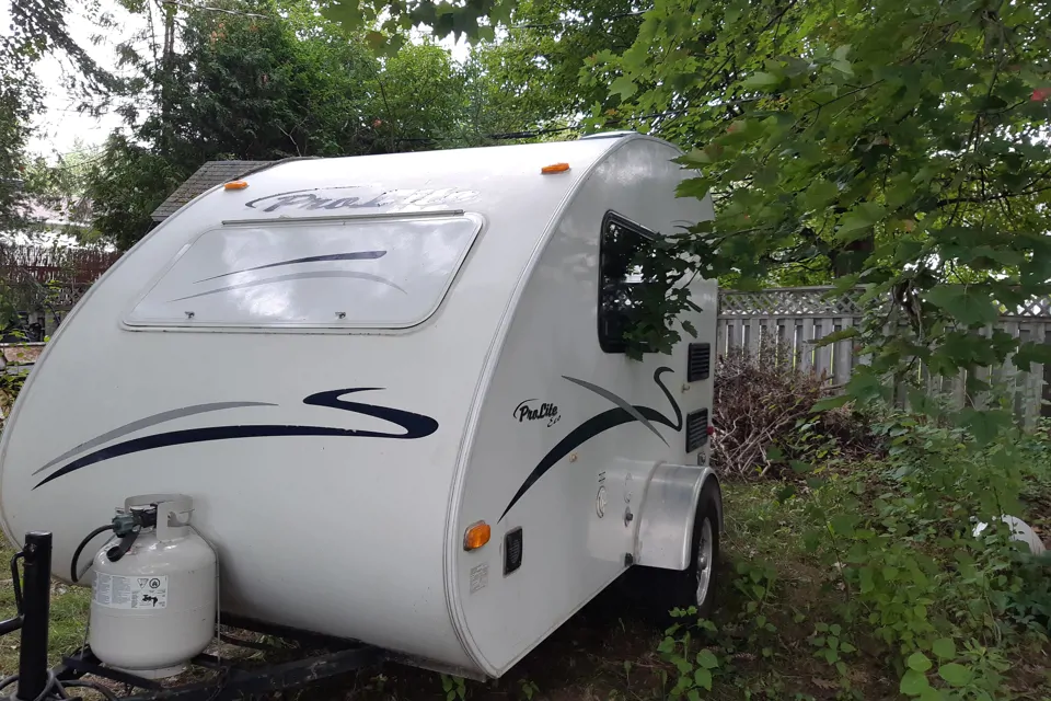 2009 Prolite Eco