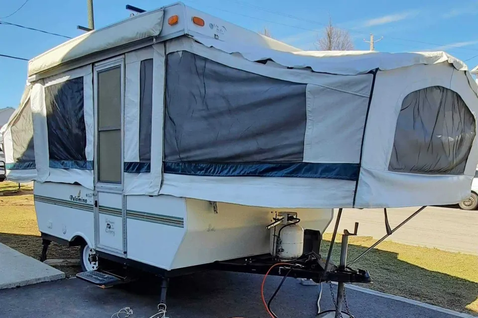 2001 Polomino pony Pony