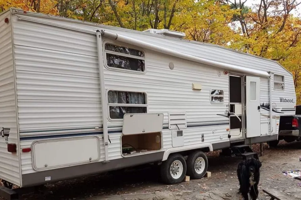 2006 Forest river Wild wood