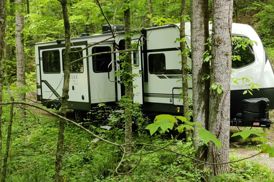 2021 Dutchmen Kodiak Ultimate 3321BHS