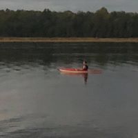 SS