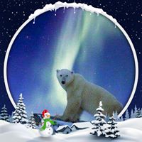 BP