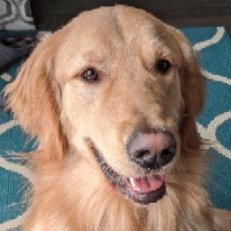MR