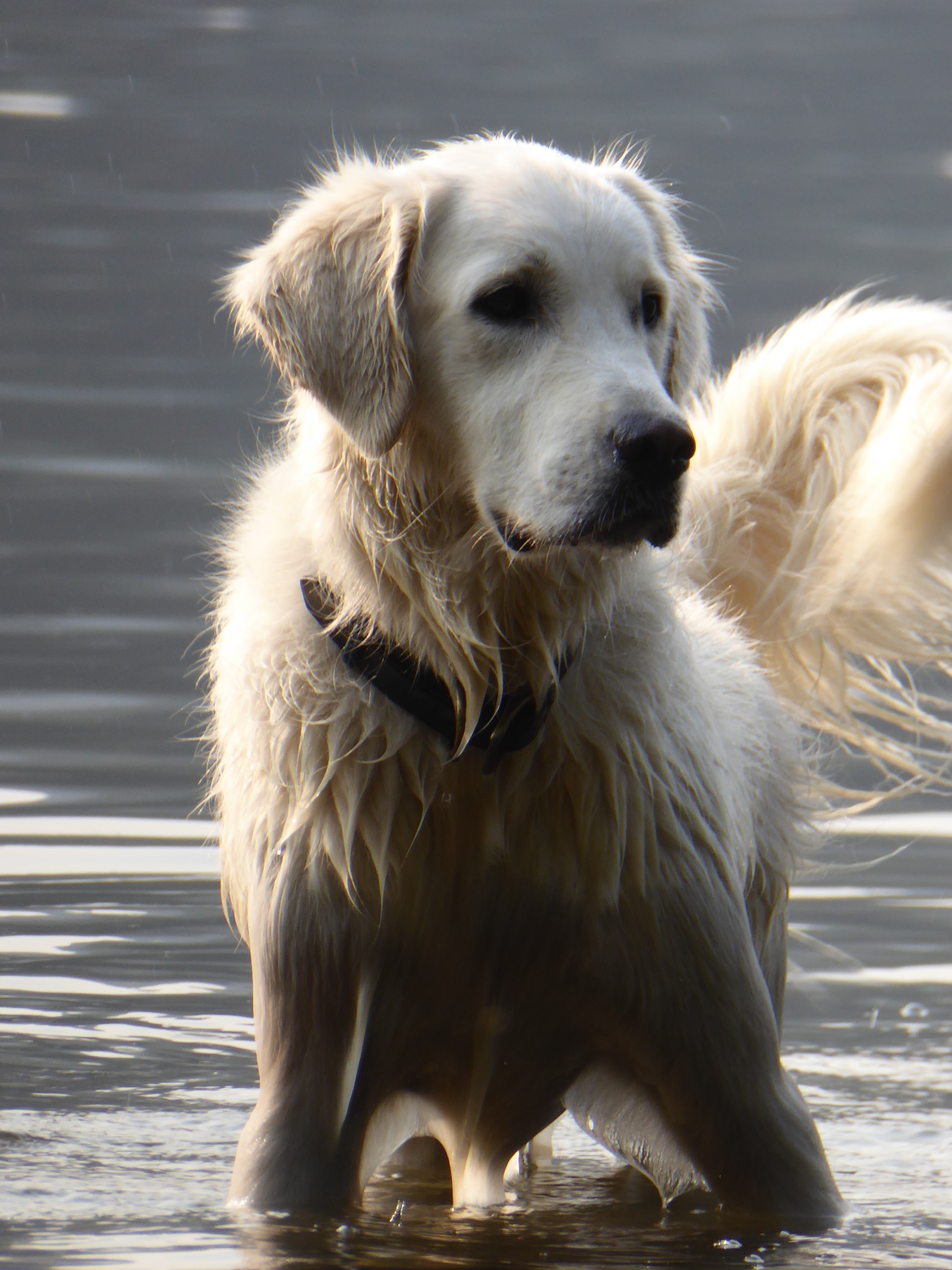 KS