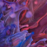 ML