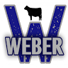 IW