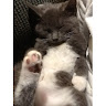 JR