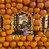 EP