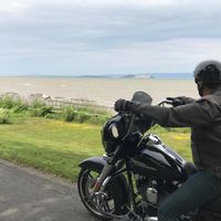 MG