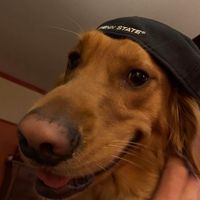 SS