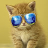 AA