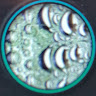 CB