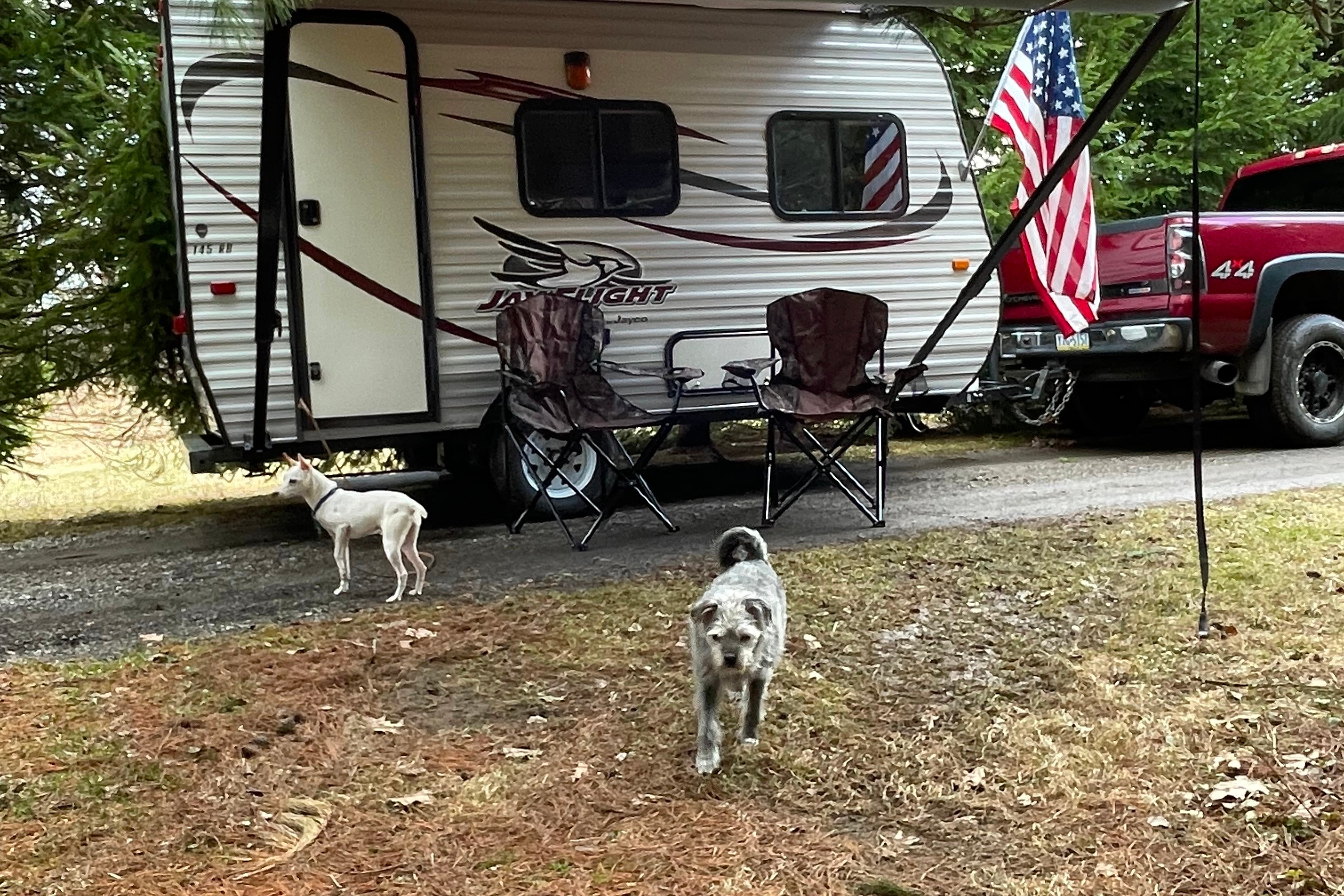  Jayco 14RB Travel Trailer  16' ( Free Quemahoming Dam delivery)  